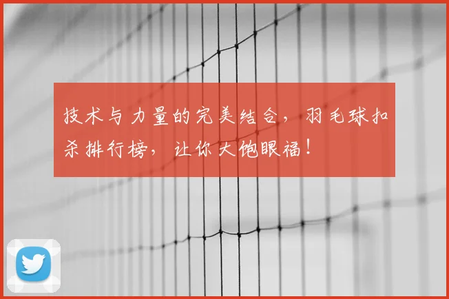 技术与力量的完美结合,羽毛球扣杀排行榜,让你大饱眼福!
